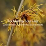 Tea Tree Blemish Soothing Serum 2.53 Fl. oz. / AHA & PHA Exfoliating Face Serum with Hyaluronic Acid, Panthenol & Witch Hazel for Calm and Hydrated Skin - Image 6