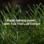 Tea Tree Blemish Soothing Serum 2.53 Fl. oz. / AHA & PHA Exfoliating Face Serum with Hyaluronic Acid, Panthenol & Witch Hazel for Calm and Hydrated Skin - Image 5