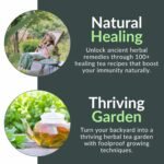 The Healing Herbal Teas Beginners' Guide [All-in-1]: Everything on How to Brew, Enjoy, & Benefit from Therapeutic Brews. Featuring 100+ Recipes for Stronger Immunity & Lifelong Vitality - Image 2