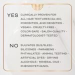 Cheribe Daily Refresh Moisture Milk with 100% Chebe Complex + Green Tea & Vitamin E, Anti Frizz & Detangling Leave-In Spray For All Hair Textures 2A-4C & Porosities, Sulfate Free, 8.5 fl oz - Image 6